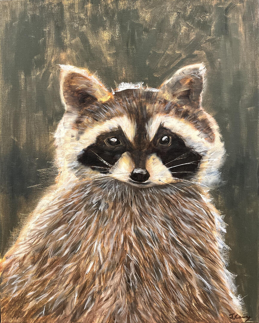 “Bandit” Oil on Canvas, 16"x20", Sold
