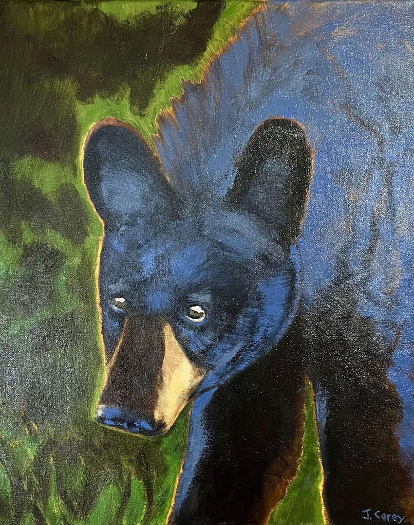 “Curios Ol' Boy” Oil on Canvas, 16'x20", Sold