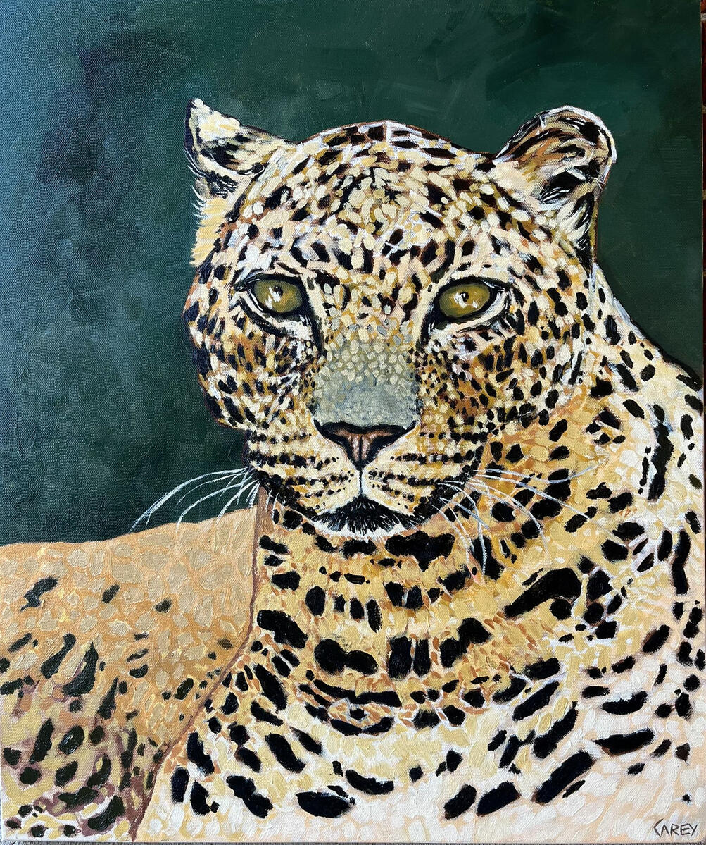 Leopard, Private Collection