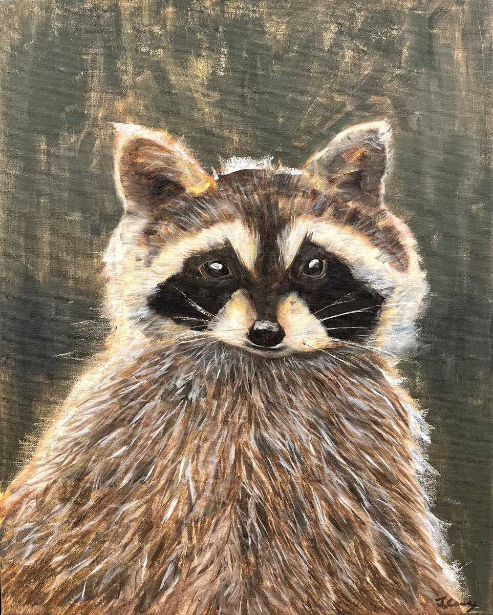 “Bandit” Oil on Canvas, 16"x20", Sold